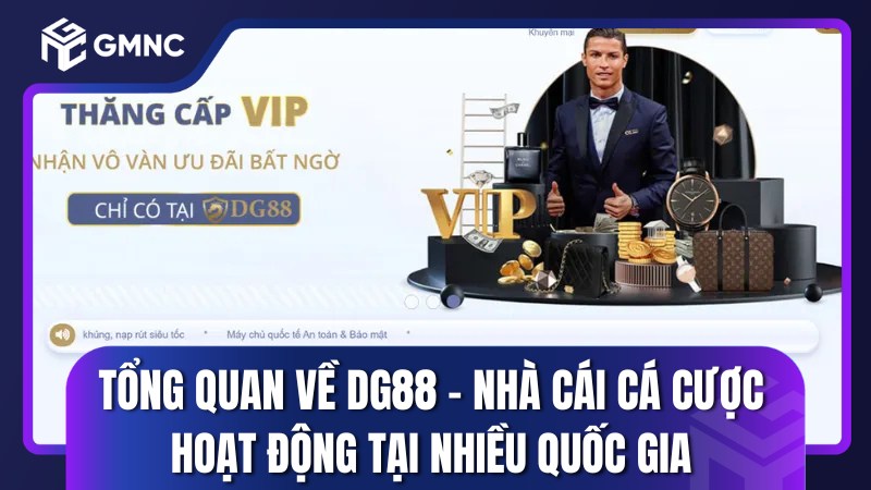 Tổng quan về DG88 – Nhà cái cá cược hoạt động tại nhiều quốc gia